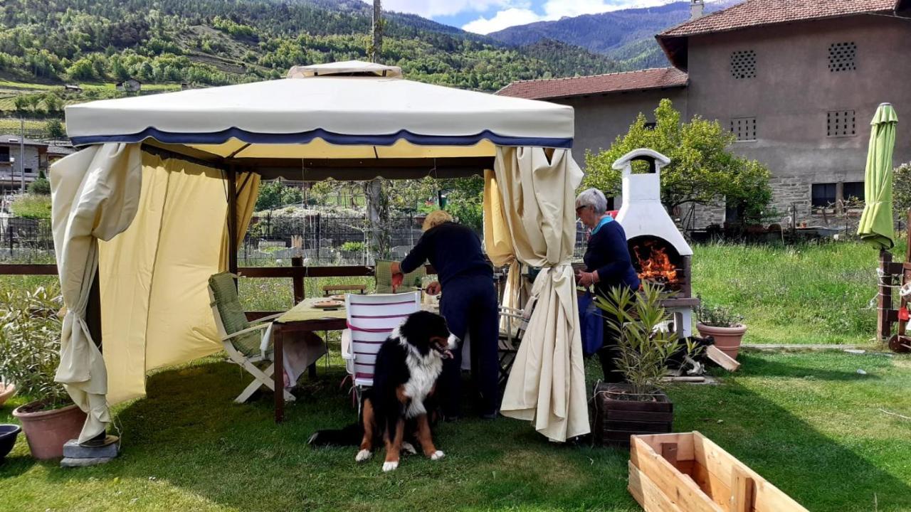 Appartamento Signorile Con Giardino Aosta Luaran gambar