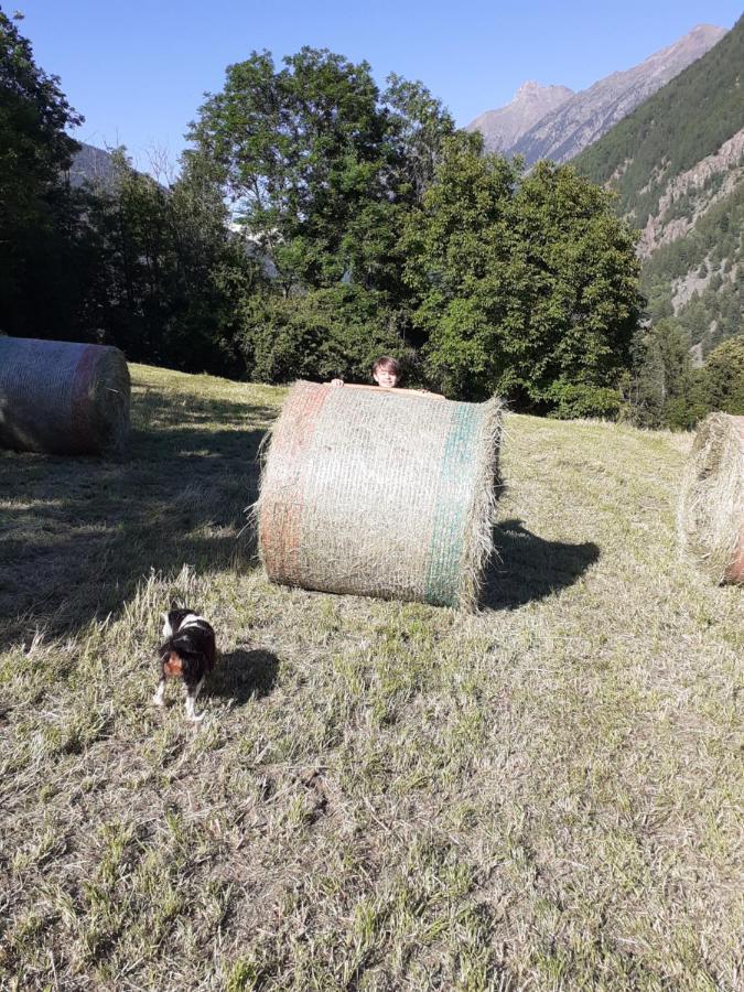 Appartamento Signorile Con Giardino Aosta Luaran gambar