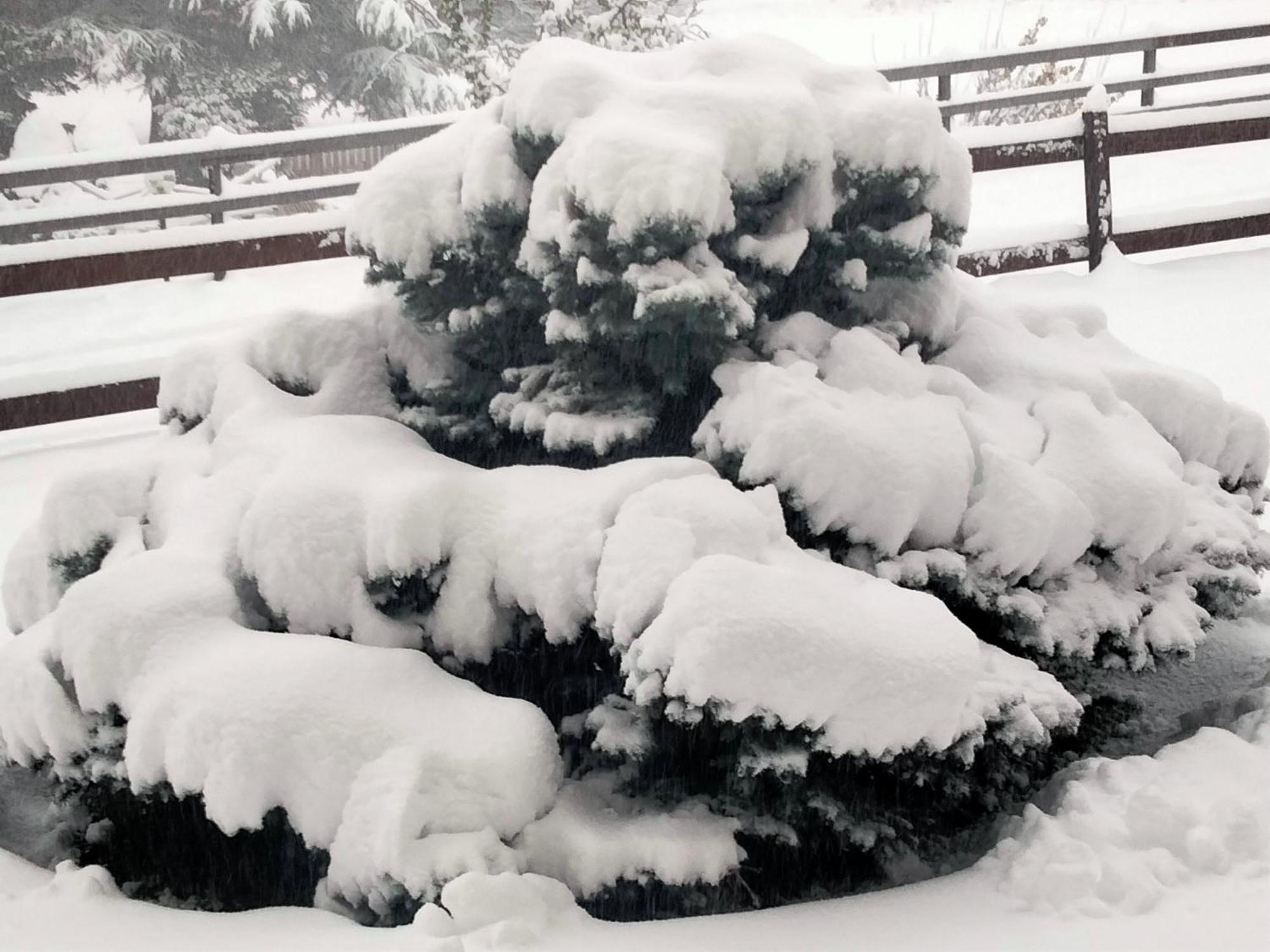 Appartamento Signorile Con Giardino Aosta Luaran gambar