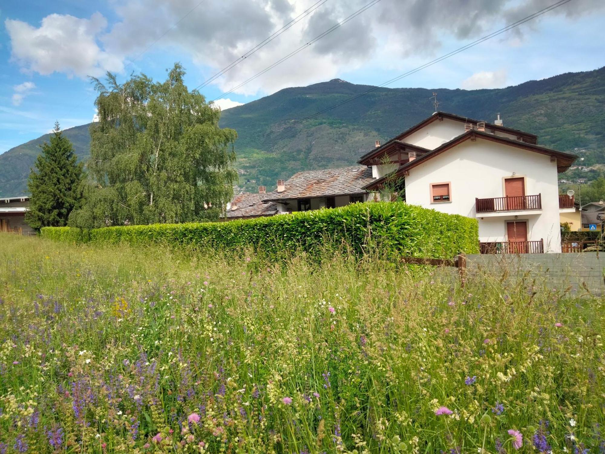 Appartamento Signorile Con Giardino Aosta Luaran gambar